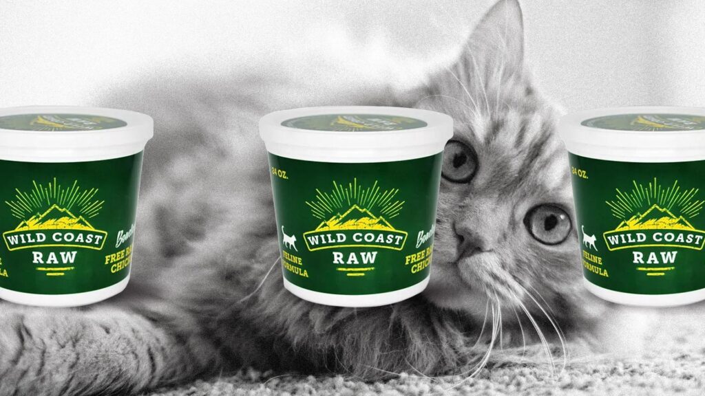 A grey tabby cat lies on a carpeted floor, looking at the camera. In front of the cat are three tubs of Wild Coast Raw pet food with green labels and white lids.
