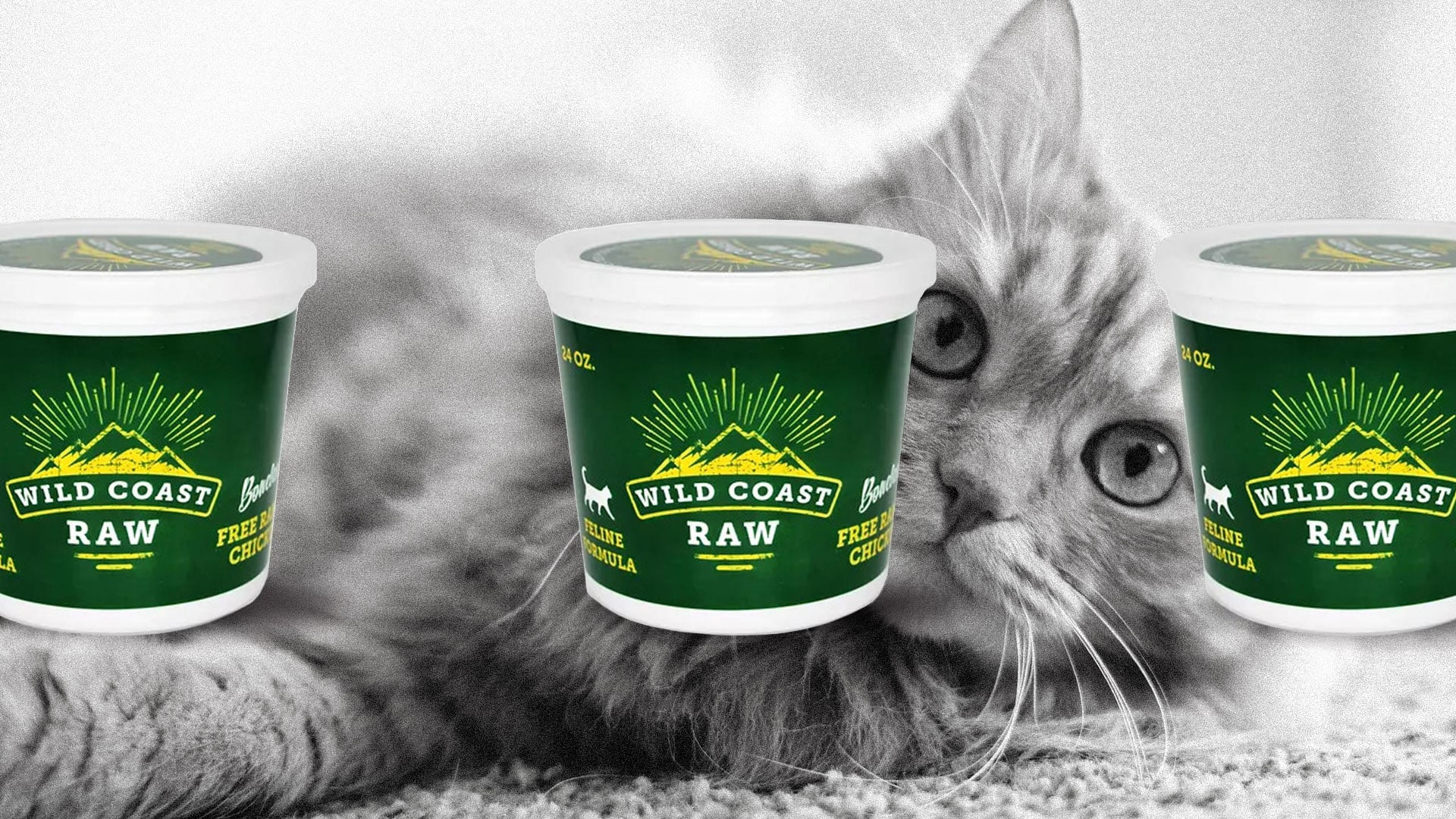 A grey tabby cat lies on a carpeted floor, looking at the camera. In front of the cat are three tubs of Wild Coast Raw pet food with green labels and white lids.