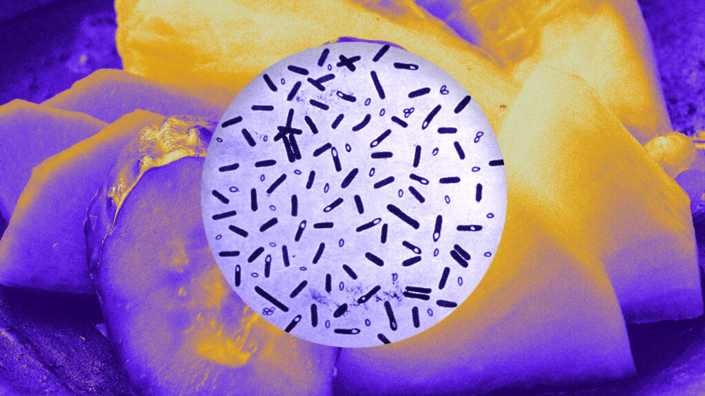 A close-up of cut fruit slices tinted in yellow and purple, with a circular overlay in the center showing microscopic rod-shaped bacteria.